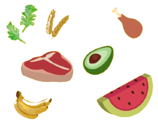 various types of food
